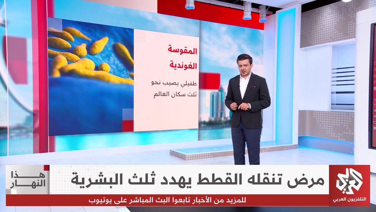 طفيلي يصيب نحو ثلث البشر.. كيف تنتقل عدوى داء المقوسات؟ #هذا_النهار 