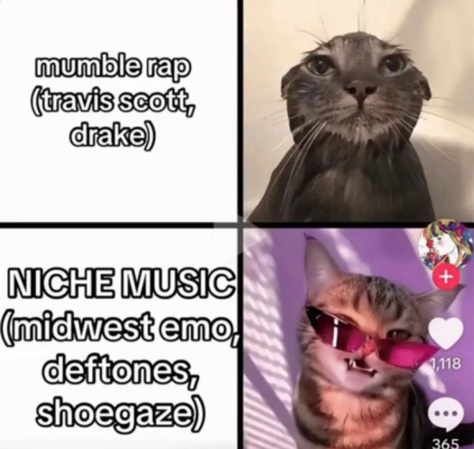 Bozzy_NZ's tweet photo. This is genuinely how some of you sound sometimes ngl https://t.co/3CkY538ZWX