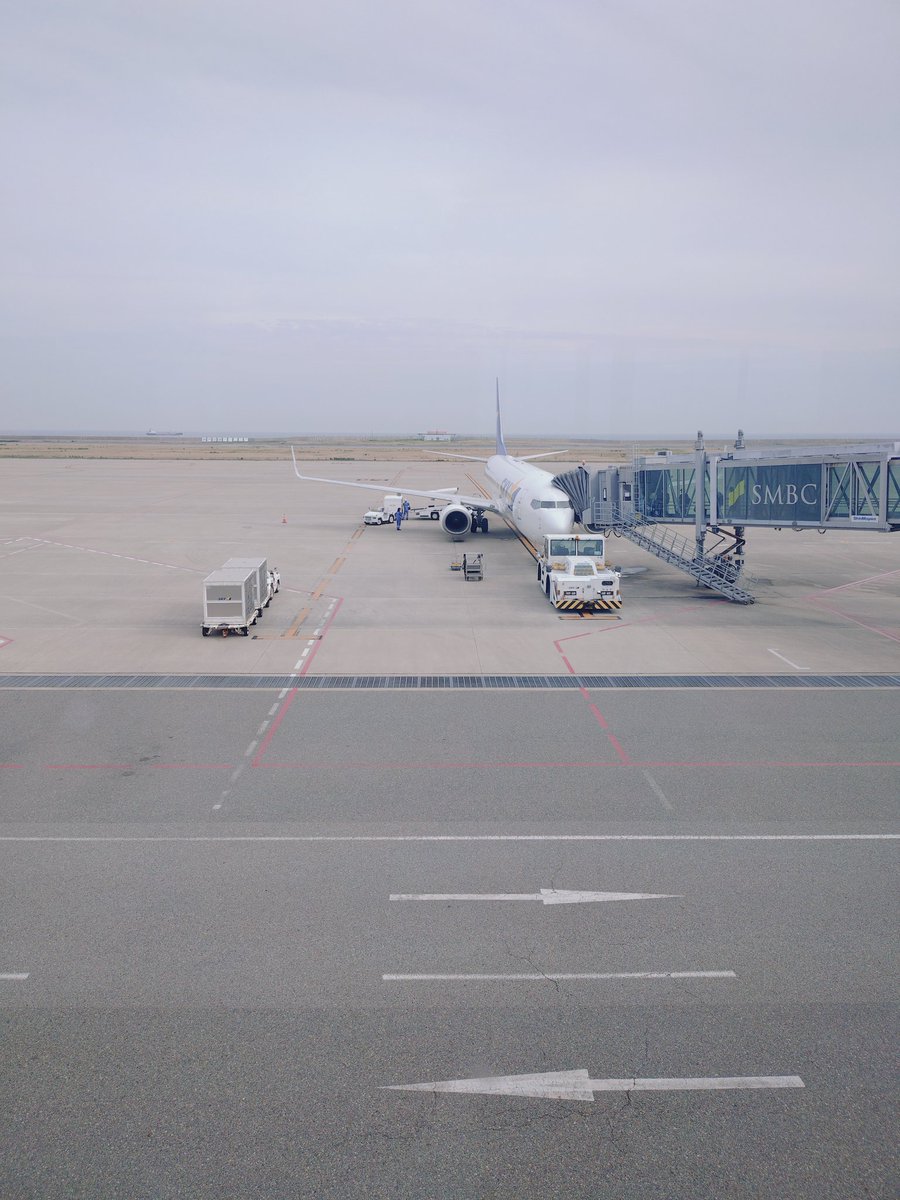 fuga_nao's tweet photo. 本日の燕✈️ https://t.co/IHsRa8UZ0M