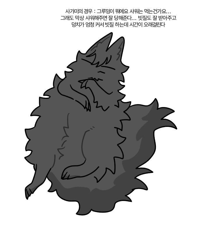 S2_kaosom's tweet photo. 그루밍 선생님들 편! https://t.co/nAMMvbMa8x
