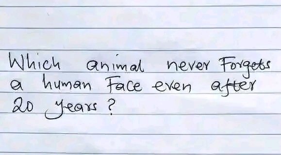 KyarisiimaDiana's tweet photo. . https://t.co/gCCwE6Zt3Z
