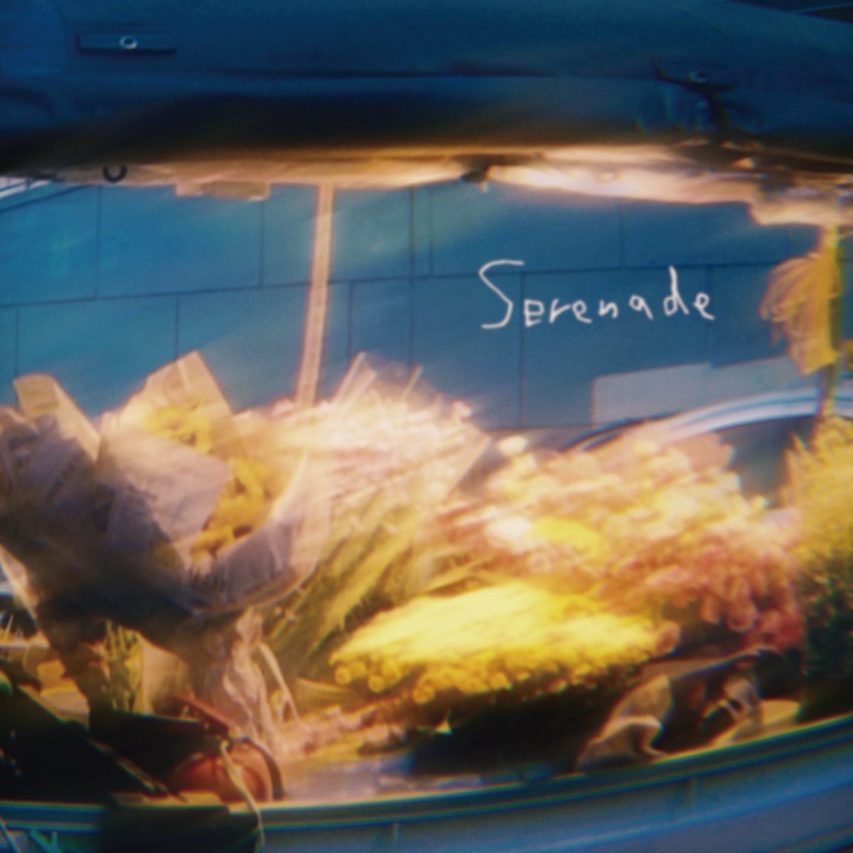 _aoigarnet's tweet photo. |/／

【New Release】
2026.7.8(水)
New Digital Single 「Serenade」

|\＼

配信決定！✴︎.*･ そして同日20:00に
YouTubeにてMusic Video公開🌃✨

プリアド・プリセーブ(事前ダウンロード)はこちらから⬇️
https://t.co/j3WT3qM8yA

#青いガーネット #Serenade https://t.co/e7G5krH4Db
