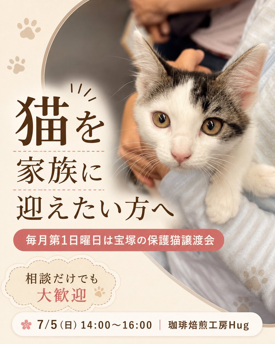 boss_cat60ya's tweet photo. 猫を家族に迎えたい方へ
毎月第1日曜日、宝塚市で保護猫譲渡会を開催しています

「猫と暮らしたいけど、どんな子が合うかわからない」
「初めてなので不安がある」
「子猫ではなく落ち着いた大人の猫も見てみたい」

そんな方も是非一度ご相談下さい😸
https://t.co/Cy0gtDYjkJ
#保護猫 #譲渡会 #60家 https://t.co/8hevo8PlAA
