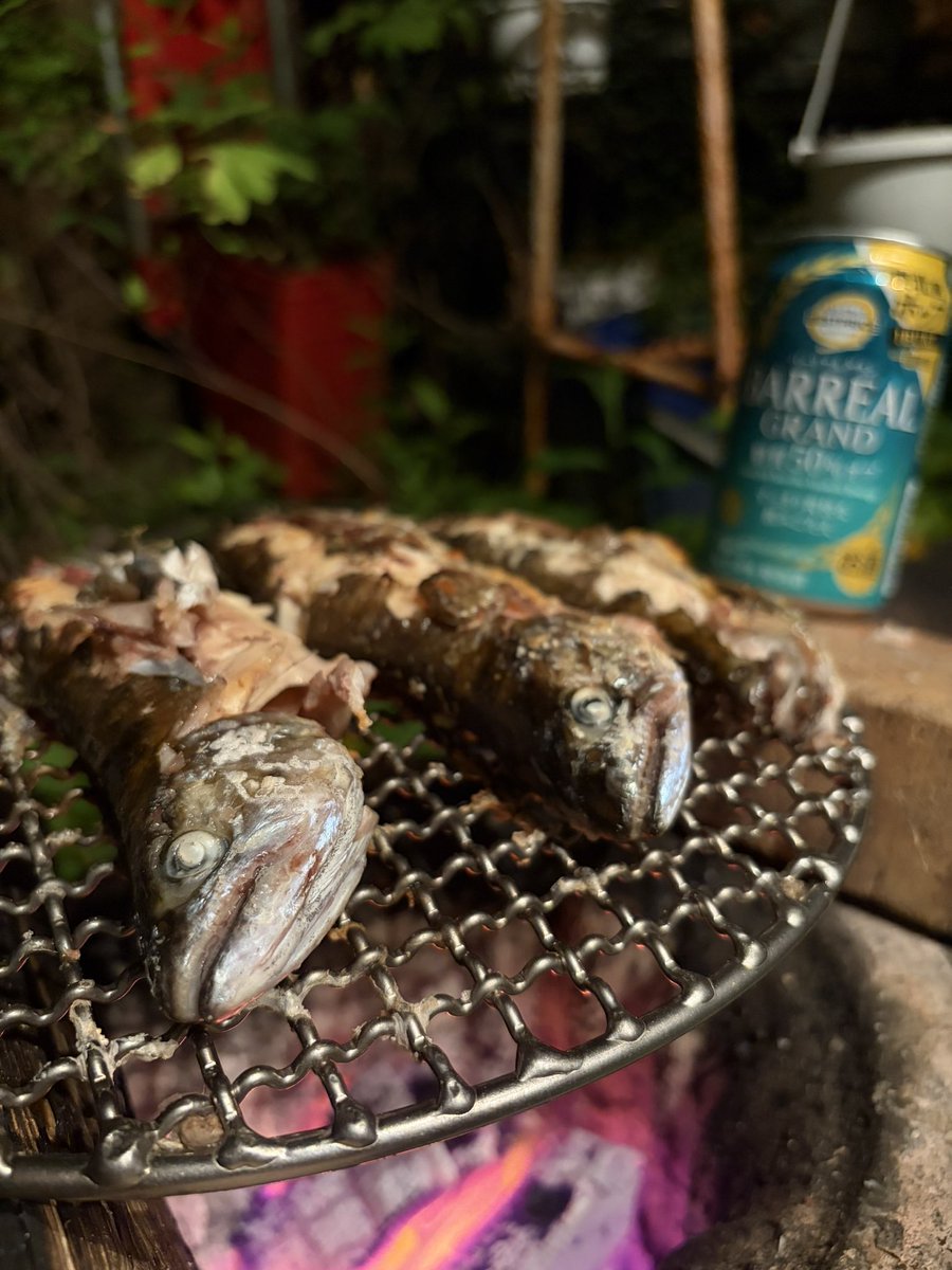 IcloudTuribakai's tweet photo. 止水のヤマメ https://t.co/37qRrf3BPM