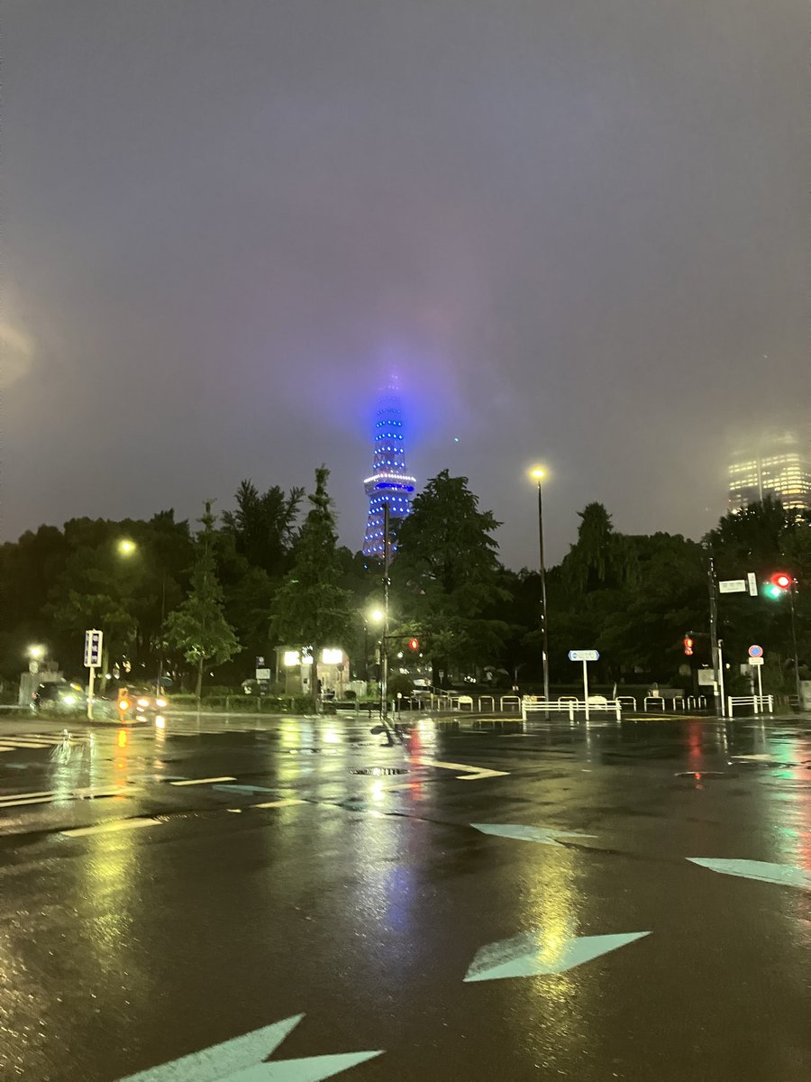 koguchit's tweet photo. Rain in Tokyo https://t.co/bYhKaI4c20