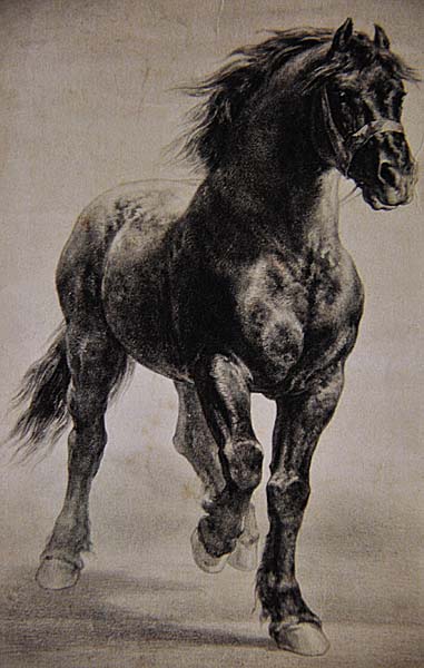 ChateauDeBy's tweet photo. #RosaBonheur shared this same profound respect, studying their power and grace with a scientist’s eye and an artist’s heart.
​We’d love to welcome you to the @ChateauDeBy to explore her drawings and sculptures firsthand. The spirit of the horseman remains very much alive here! https://t.co/tijXh1HWrQ