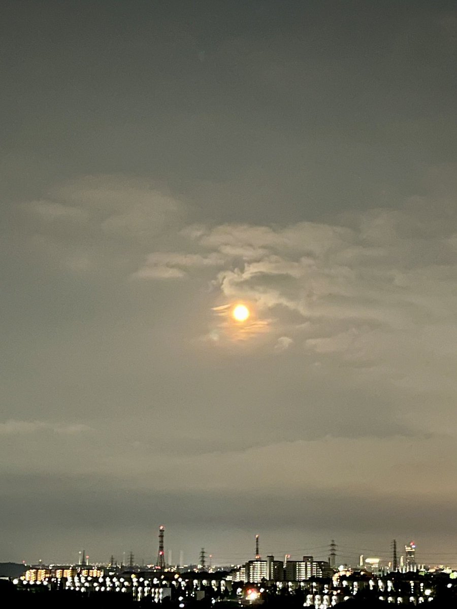 § Bluemoon🦖 tweet media