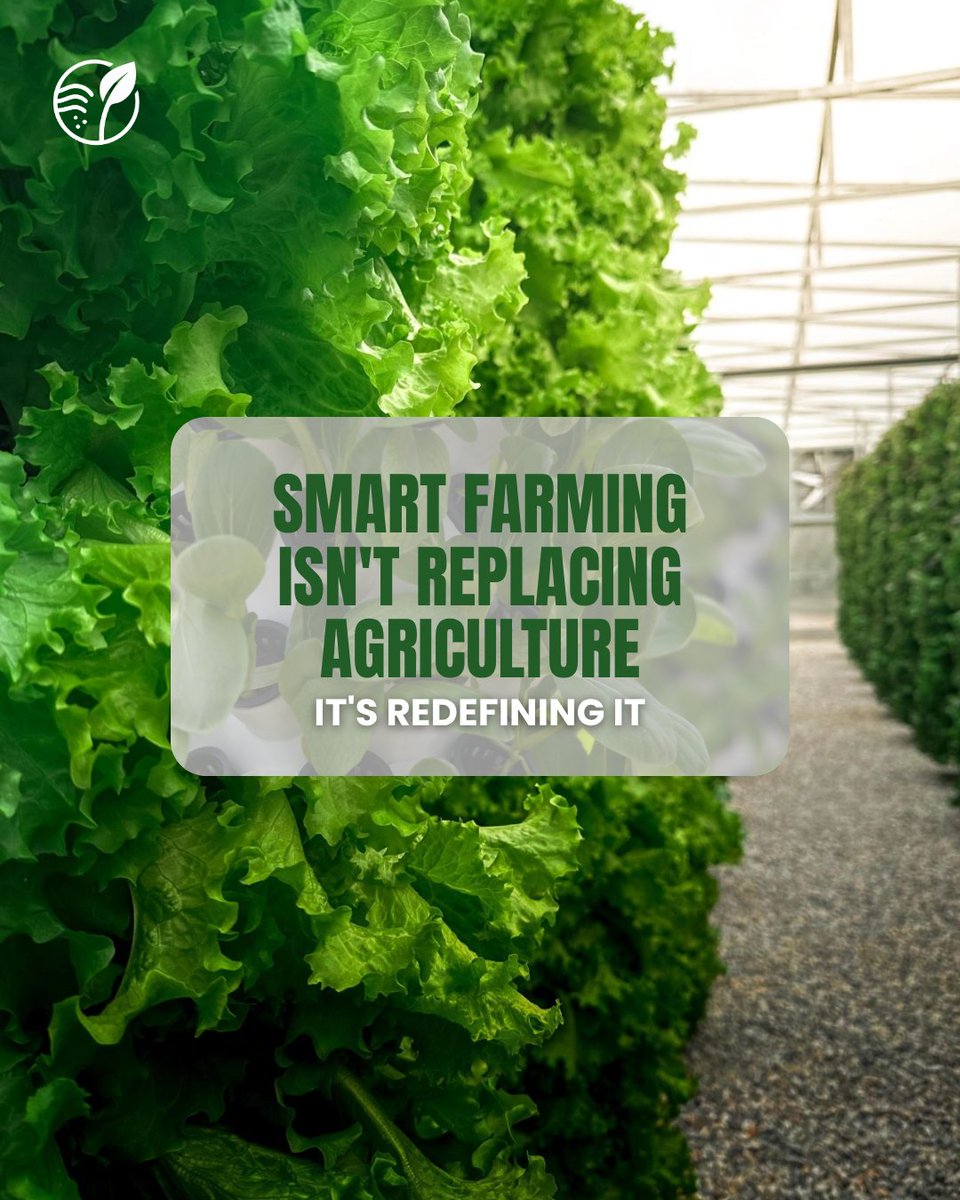 Spurtnova's tweet photo. Smart farming isn't replacing agriculture. It's redefining it.
At Spurt Nova, we're growing more with less through aeroponic innovation.
#SpurtNova #AeroponicFarming #VerticalFarming #SmartFarming #FutureOfFarming https://t.co/oREGXxAJdv