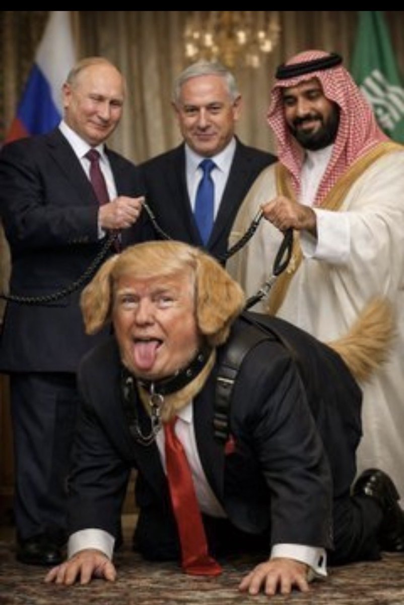 raw1135's tweet photo. @TrumpWarRoom @POTUS Narcissistic sociopath and pedophile is what you are! https://t.co/ZhDER3QOlb