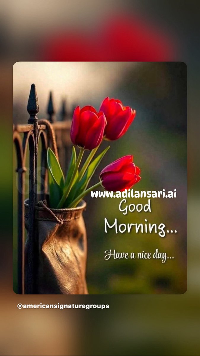 Americans64's tweet photo. goodmorning🇺🇸 #GoodMorningAmerica !
https://t.co/ap1ejgvNWL
https://t.co/dS9cLCdm0R
https://t.co/7bdMb1aqcL
https://t.co/TlpS20A0Hp
Thanks !
#newyork #nyc #nj #Pennsylvania #DC #atlanta #chicago #california #usa https://t.co/cpWiBX9i6c
