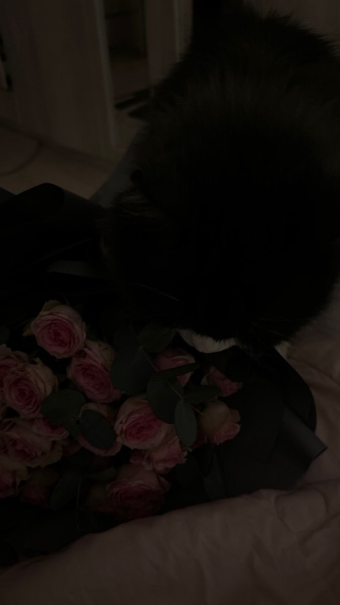 eeeeenxx's tweet photo. https://t.co/mLS8Vu3ub9