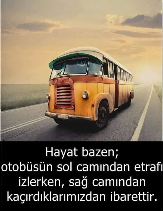 alp_all's tweet photo. https://t.co/P3NkANOkVs