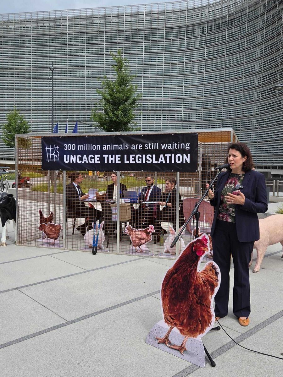 Act4AnimalsEU's tweet photo. Five years ago today, the @EU_Commission committed to deliver proposals to #EndtheCageAge, but so far, it has failed to deliver on its promise.

So we took action in Brussels with @CIWF_EU, @Anima_Intl & the EtCA coalition, urging the @EU_Commission to deliver proposals to #EndtheCageAge 📣 

For the animals and for the millions of Europeans who demanded better!
