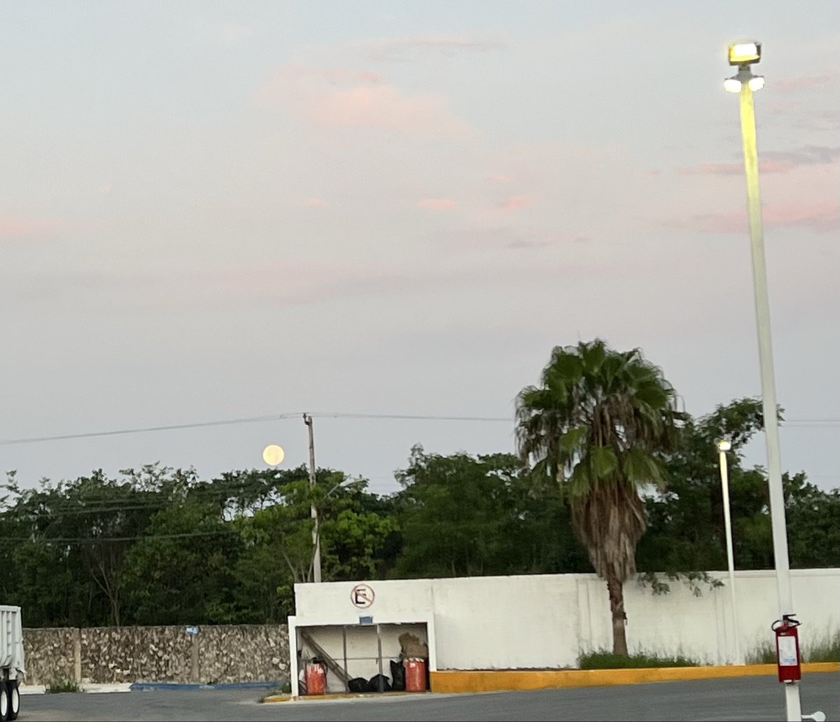 estherhuan's tweet photo. La hermosa Uh, la diosa maya de la Luna me acompañó esta madrugada rumbo al trabajo.
!Qué bendición tan grande!
¿Kin, el dios Sol de los mayas?
Apenas abría sus ojos estrábicos para resplandecer.
#Bendecida, #Prosperando y #EnVictoria https://t.co/ZkaELbeMkn