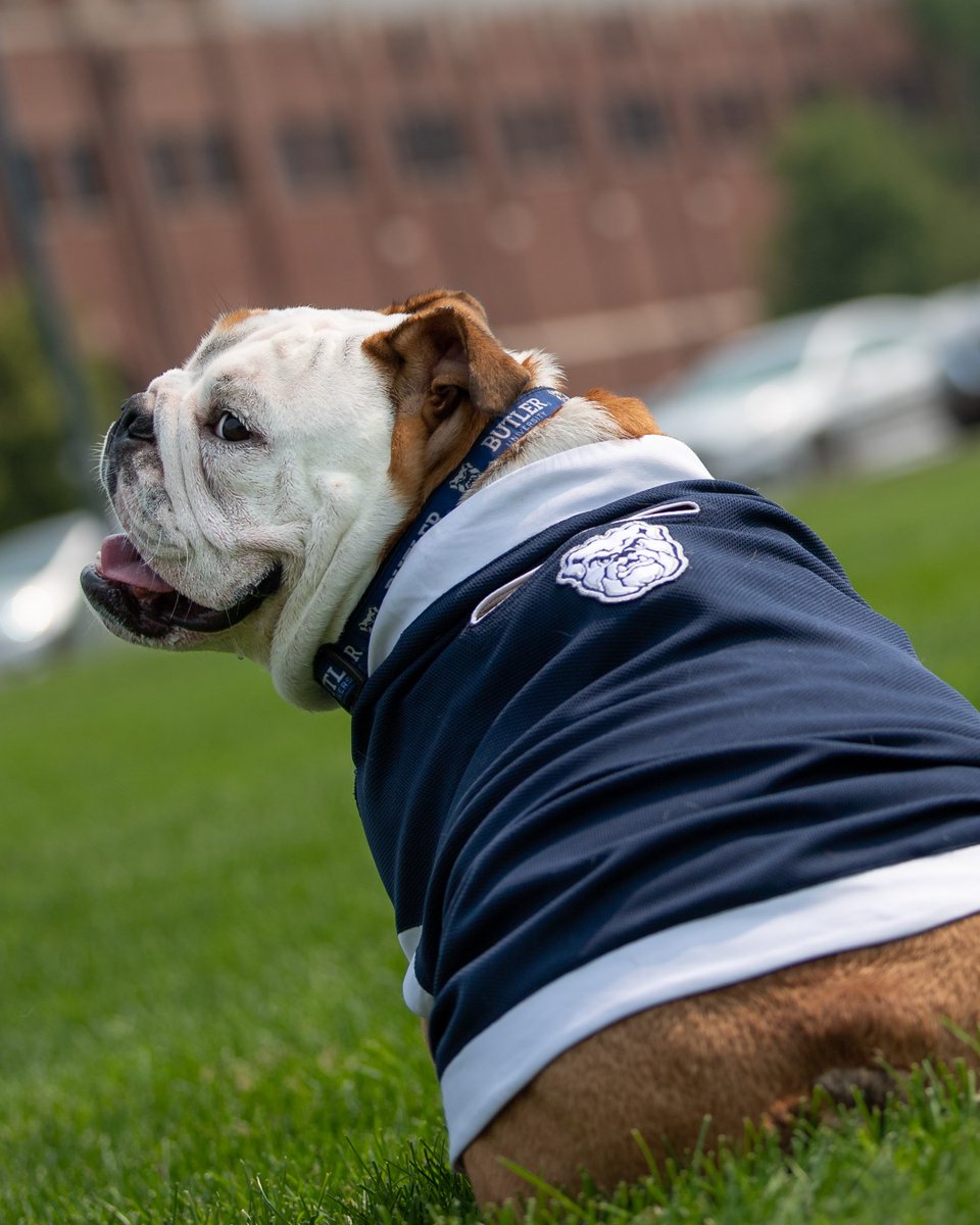 TheButlerBlue's tweet photo. oh hey https://t.co/OhngxKZozZ
