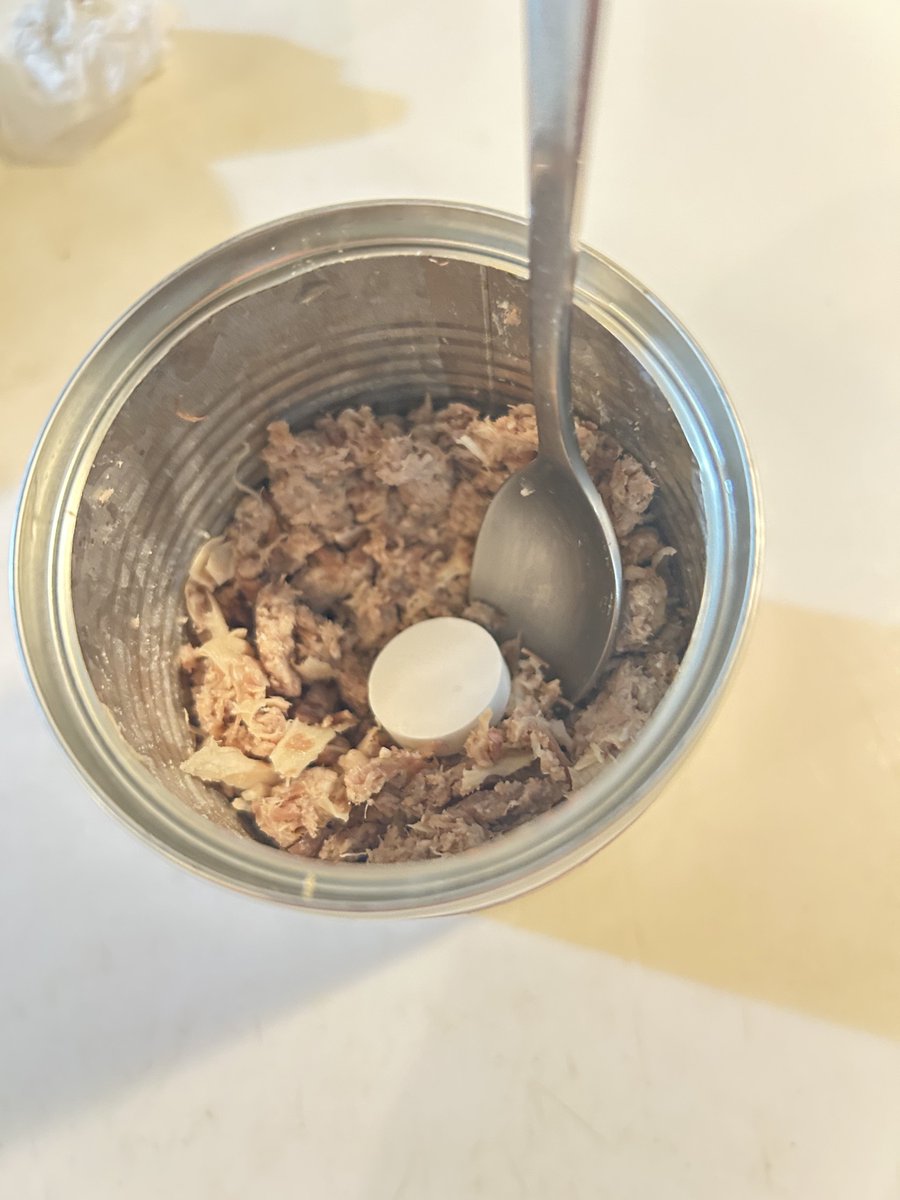 sugoidasai's tweet photo. 我が家にアニマル缶が届いた……！
食べ進めると中には怪しげな薬(ラムネ)
レシピはツリーで！
#トリッカル https://t.co/mTmLud67mg