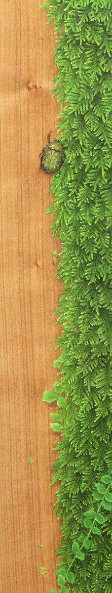 imatsuru's tweet photo. 🌱展示お知らせ🌱
たんざく展 2026
会期：2026年7月1日（水）~7月7日（火）
会場：伊勢丹新宿店アートギャラリー

毎年恒例の夏の展示に今年も新作2点出品させていただきます。
ご高覧いただけましたら幸いです🐞 https://t.co/vCs86UmU0u