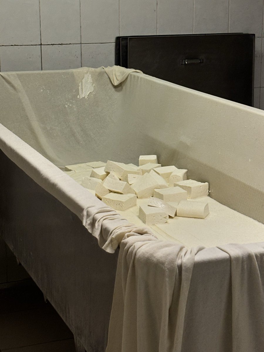 wegeurae's tweet photo. day in the life as a food engineer https://t.co/kSlHdpNFiF