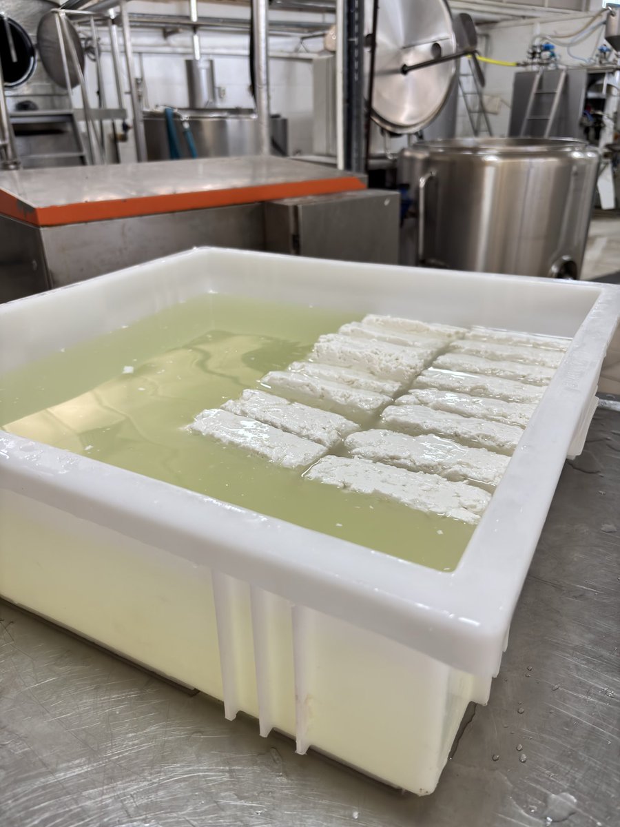 wegeurae's tweet photo. day in the life as a food engineer https://t.co/kSlHdpNFiF