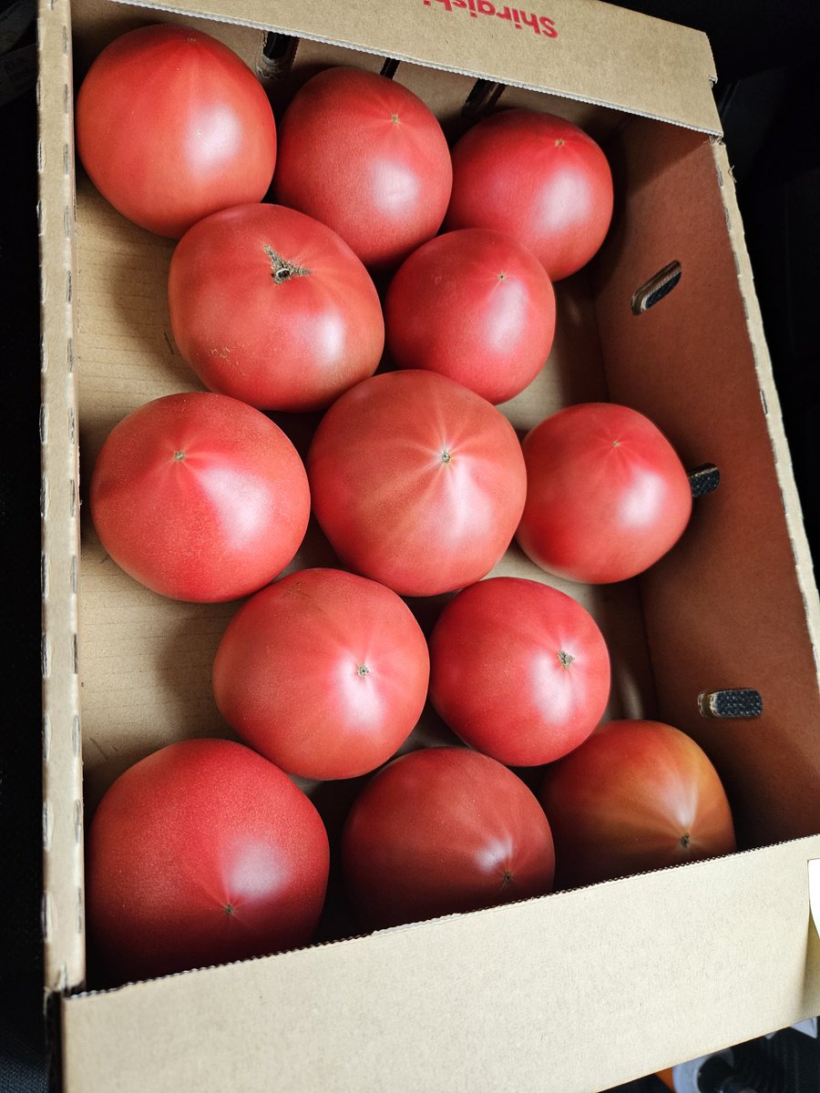 Alittlesnow0111's tweet photo. いつも買ってるトマトのオンライン
ショップ見付けたʚ🍅ɞ
明日も買うんだ～ꉂ(ˊ˘ˋ*)笑
会社の人に血液の大半がトマトの水分
言われたw https://t.co/Ff8aUQNhY3