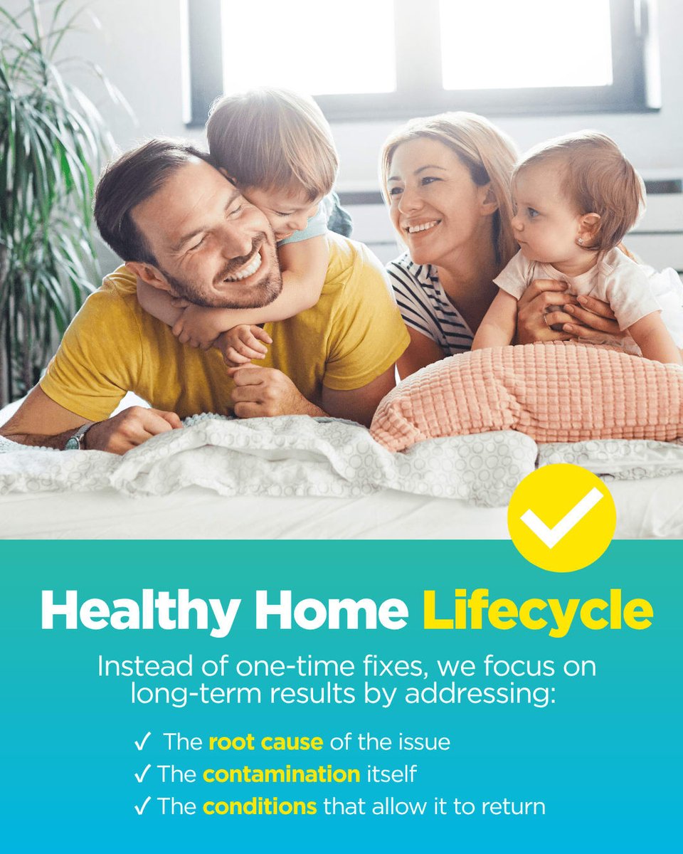 OfCharleston's tweet photo. Healthy Home Lifecycle is a full-service approach to improving your home’s air quality &amp; moisture balance.

This process includes five key stages: inspection, correction, remediation, prevention, and maintenance -- and you can breathe easy!

#IndoorAirQuality #GreenHomeSolutions https://t.co/85p3Ms8aRX