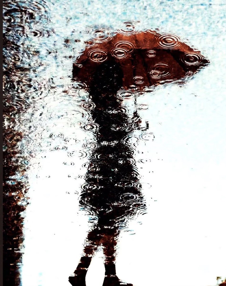 the_gpc_'s tweet photo. In the rain 📸
By: junkoro https://t.co/dyigOCzVnR