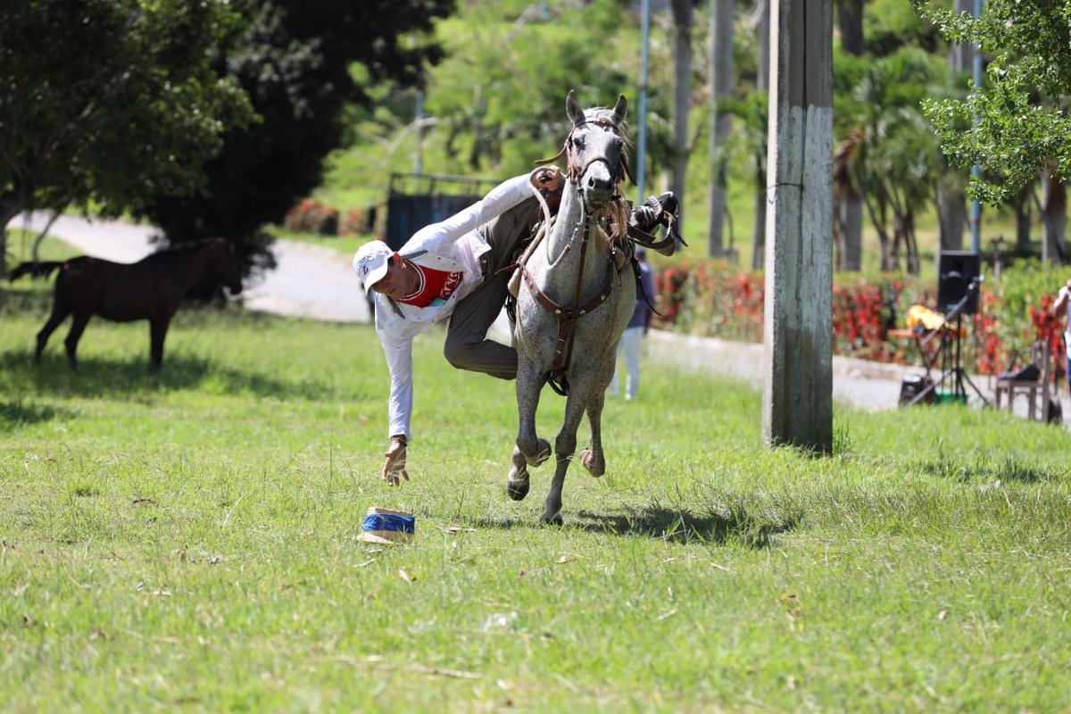 26deLasTunas's tweet photo. Juegos tradicionales campesinos en una fiesta de bandos #JornadaCucalambeana #LasTunas #Cuba https://t.co/IoIy4vfKa0 https://t.co/XMkalmZ6Bq