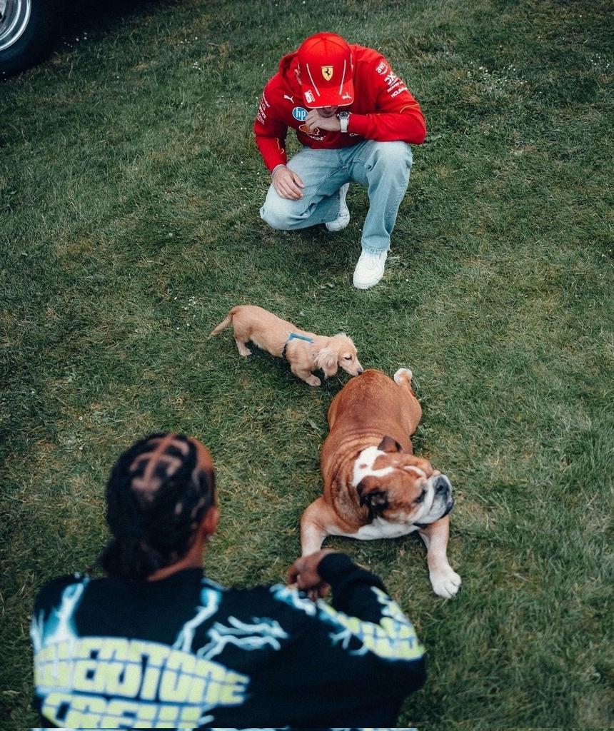 leclercsletters's tweet photo. this special moment when leo first met roscoe 🤍

[silverstone 2024] https://t.co/wcG4IUZS1R