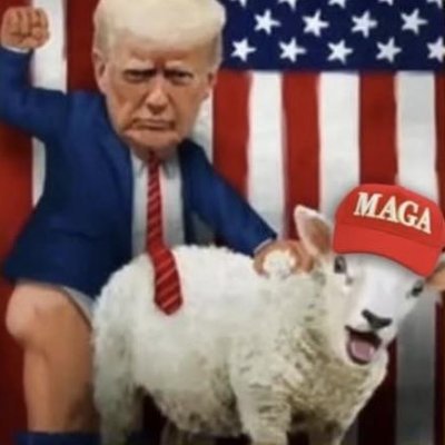 moosehead681's tweet photo. @julest10003 @Acyn @MeidasTouch https://t.co/CrGv5h8LXN