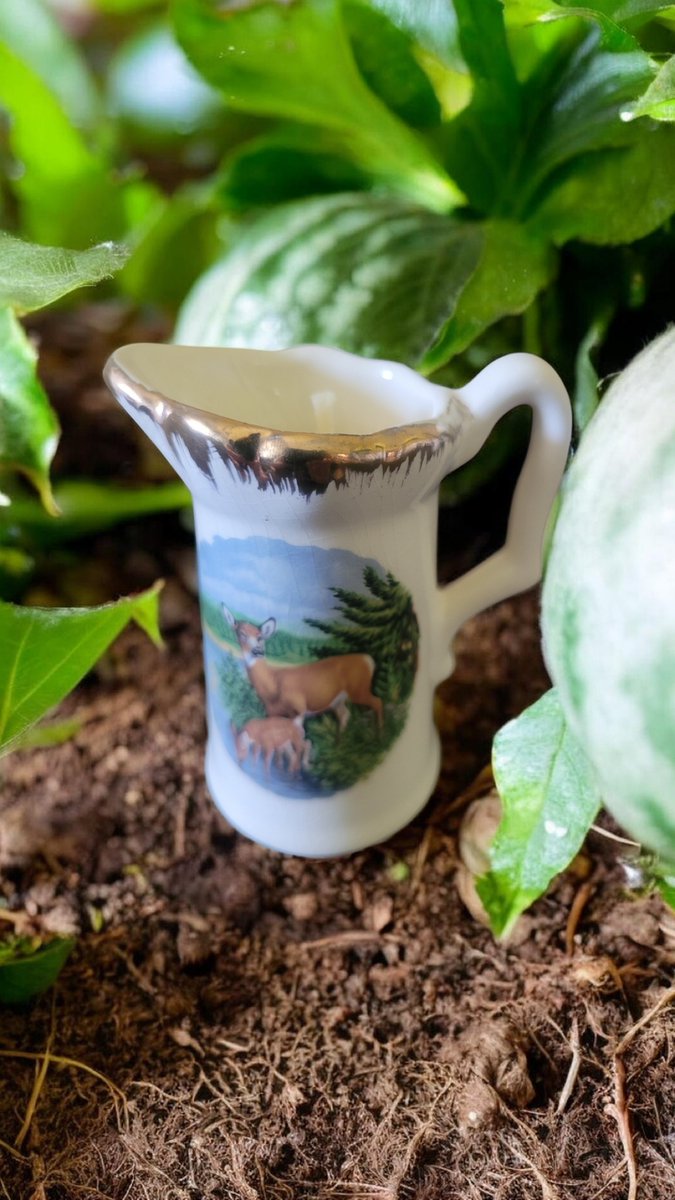 CandlesMoney's tweet photo. Mamma deer and her fawn 🍉🍉🍉 scent and of course, contains between $1 - $500 in CASH ! https://t.co/tHjpGau9P7 https://t.co/TaetRyKNHk
