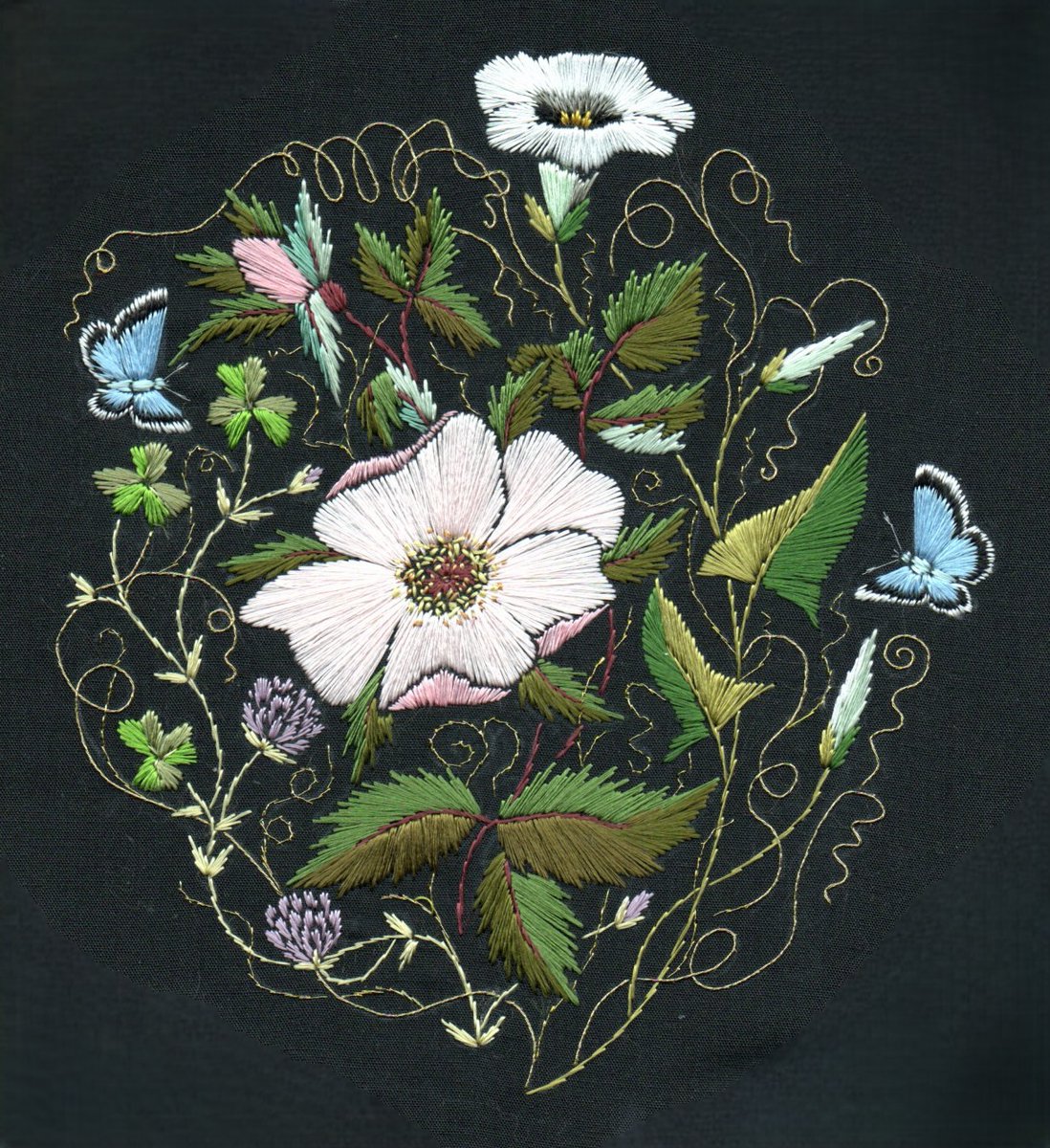 helen_m_stevens's tweet photo. Another doodle!!
I began this one during the course of an exhibition, at which I was demonstrating my techniques ... and it sort of just grew from the middle outwards - I began with the rose.
The final additions were the little Holly blue butterflies.
I adore these little chaps!  Of the many blue butterflies which grace the English countryside, the Holly blue is the most easily identified, the only one with an entirely blue underside to the wings, delicately speckled with tiny black dots.  Also the easily spotted black and white wing edges of the male are a giveaway.  They have joyful fluttering flight between flowers, and are also unique in that their caterpillars feed on two different foodstuffs depending on whether they are the offspring of the spring or autum flight.  Spring caterpillars feed on holly and autumn on ivy.  This gave them the misleading, ideosyncratic folkname of the Christmas butterfly.
Blue butterflies are heavily tied to folklore, often symbolizing love, transformation, and good luck. Because of their vibrant, unusual color, they are frequently viewed as spiritual messengers, symbols of the soul, or indicators of magic and joy across different cultures.  Remnants of Irish village folklore suggest that seeing a blue butterfly is extremely fortuitous events ... so, go buy that lottery ticket!
#embroidery #EmbroideryWhisperer