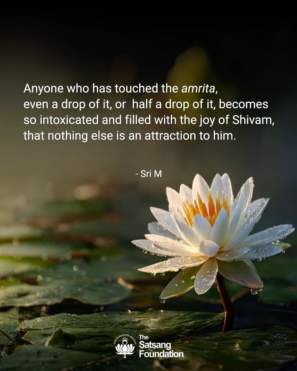 SatsangTweets's tweet photo. Anyone who has touched the amrita, even a drop of it, or  half a drop of it, becomes so intoxicated and filled with the joy of Shivam, that nothing else is an attraction to him.

For more daily quotes by Sri M, visit: https://t.co/jprPT2bRrE.

#SriMSpeaks #Quotes #QuoteOfTheDay https://t.co/efhy6VOcbT
