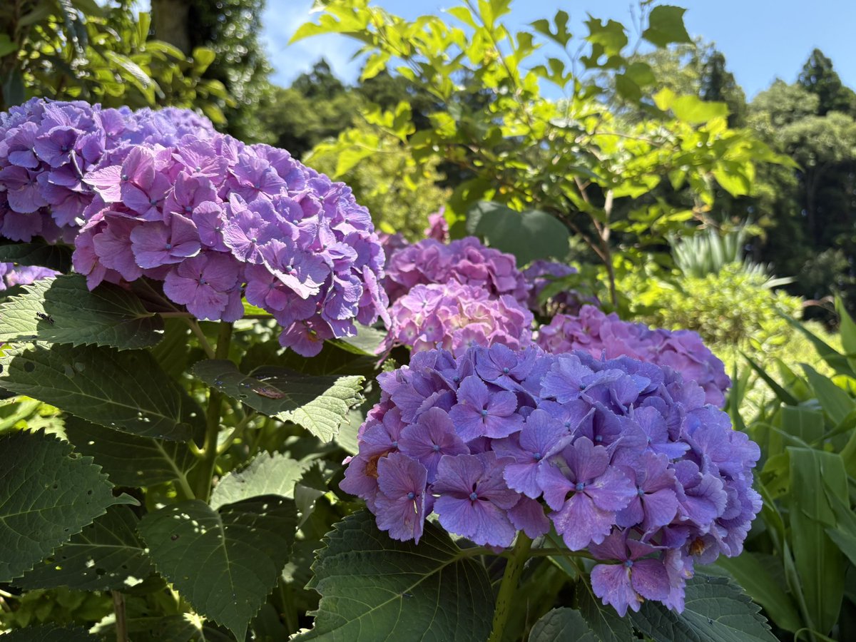 ayamag's tweet photo. https://t.co/rMhEibQWUX