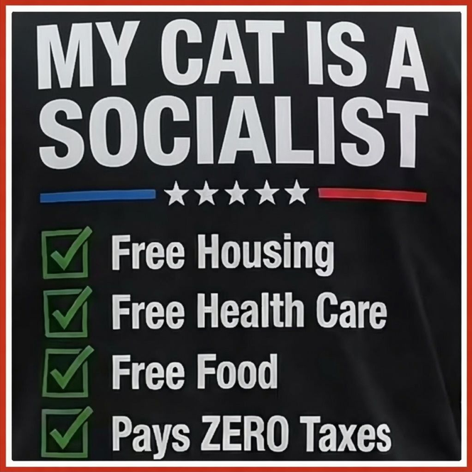 BaileyBlls's tweet photo. https://t.co/2aEbZqtCCI
https://t.co/865lhGroXf
Muslims are Destroying America, and Democrats are helping Them. https://t.co/qmjxm4rcSd