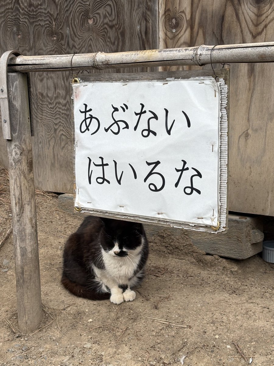 daifuku_3's tweet photo. チケ外れてムシャクシャしたのであげた
後悔はしていない（笑） https://t.co/GgMtZ6xizd