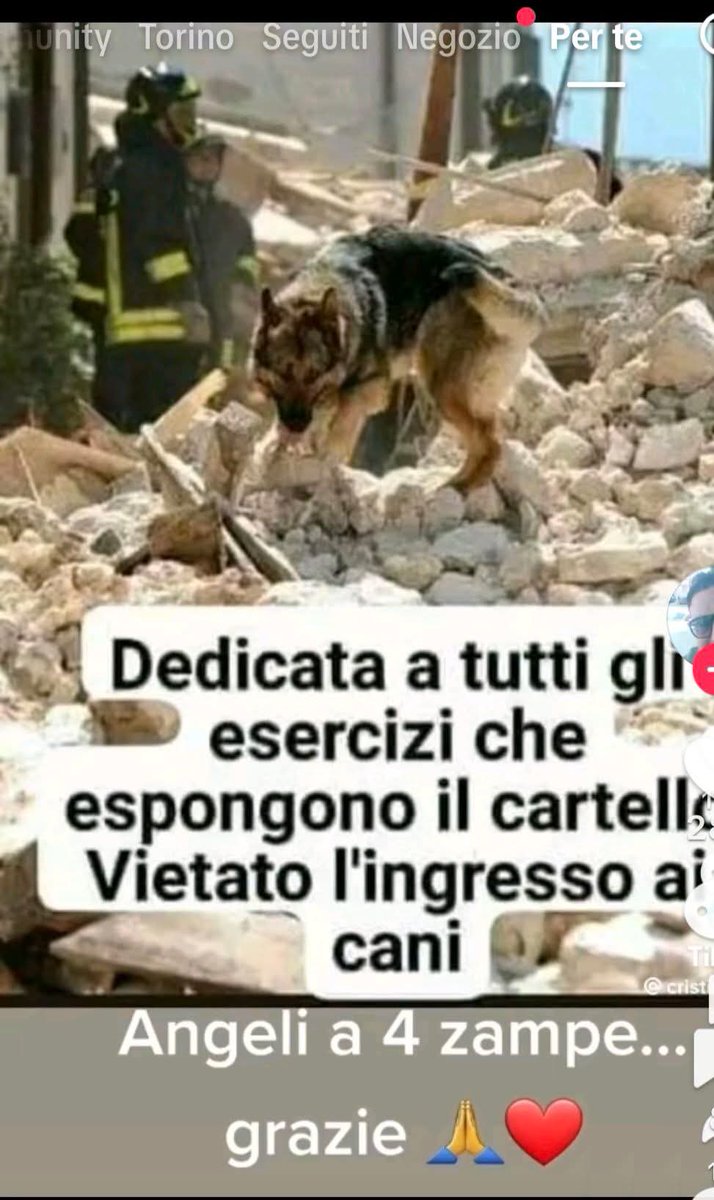 PatriziaMarcian's tweet photo. https://t.co/RytU4RbpaQ