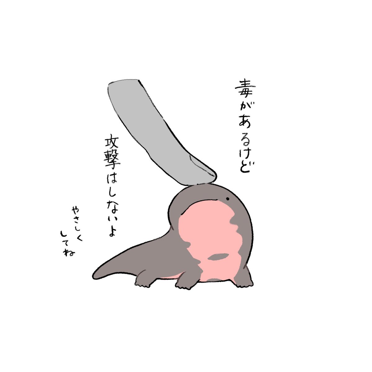 nasuka_gee's tweet photo. 威嚇はしてるか https://t.co/fXgmDFSC9O