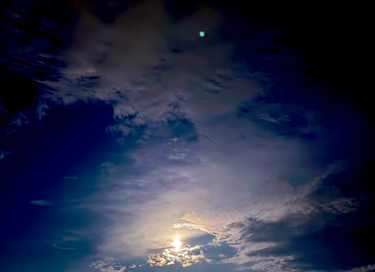 yo_junpei0211's tweet photo. #ストロベリームーン🌕 https://t.co/axl7MhZRcE