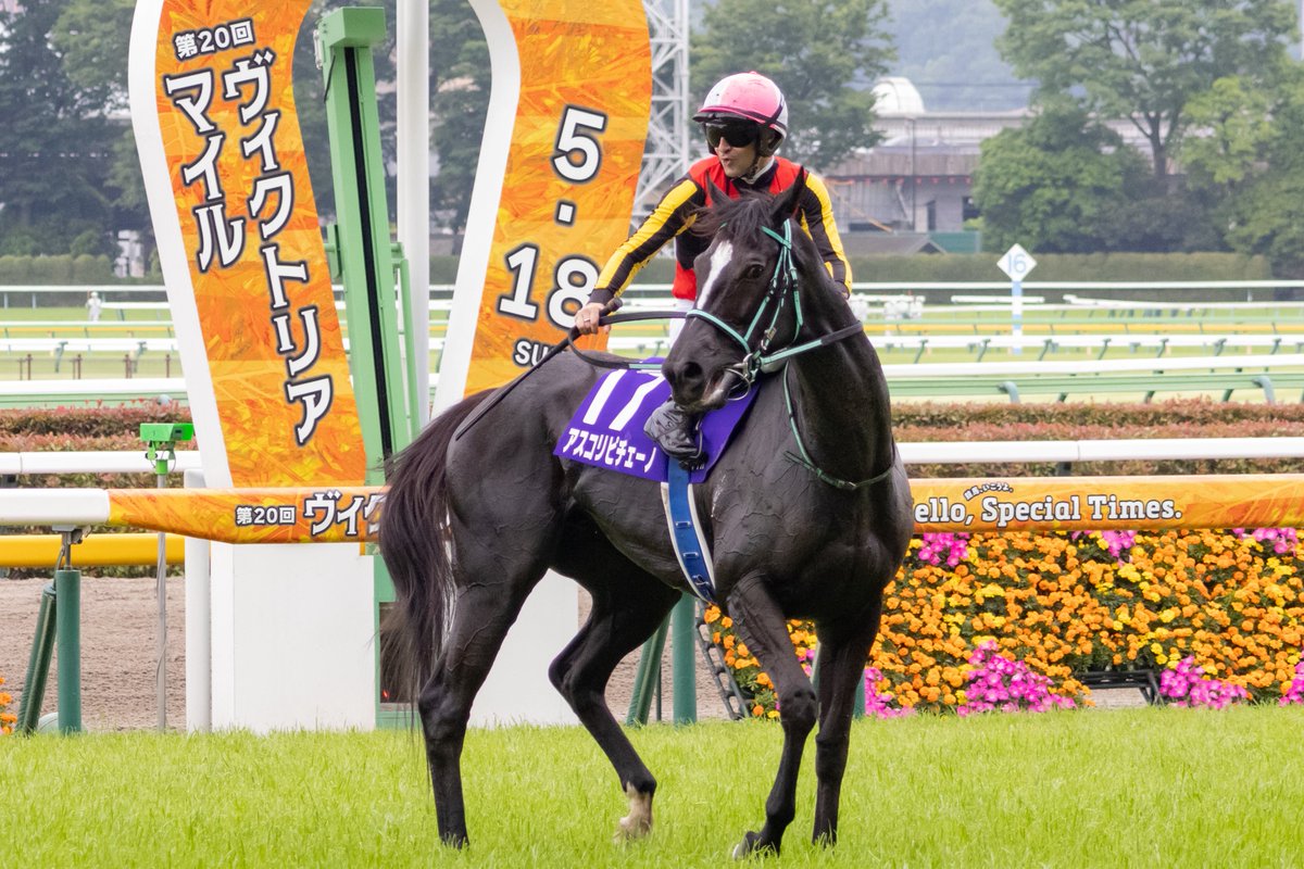 aaa_tomakoma's tweet photo. アスコリピチェーノに続いてジャンタルマンタルまで引退とは…
二歳王者､女王から古馬でも輝かしい戦績を残し､25年上半期の勢いはまさに時代を担うマイル王者､女王だったと思います。お疲れ様でした。

 #ジャンタルマンタル #アスコリピチェーノ https://t.co/VBKXRYVICZ