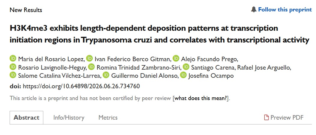 mdrolopez's tweet photo. Hay pre-print! Primer CUT&amp;RUN realizado en Trypanosoma cruzi. Gracias a todos los autores 🩶
Poder seguir haciendo ciencia en este contexto es un privilegio. 
@JOcampoLab @buiyitw @sALopip @RoLavignolle @RafaJArguello https://t.co/MoGu0G5HlS