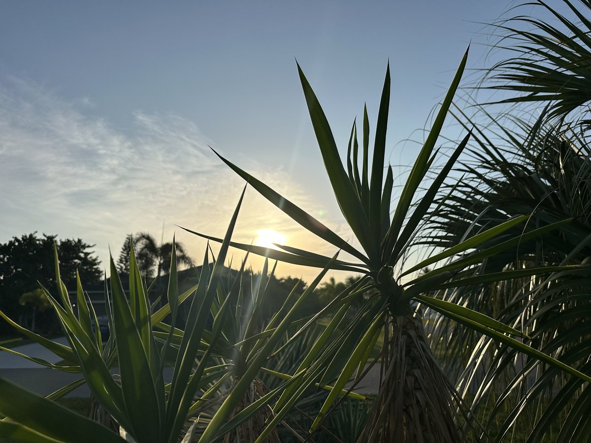 HolwadelRon's tweet photo. Good Morning from the Cape 😎 Never stop smiling ✌️ #ronnierealestate #goodmorning #capecoral https://t.co/YksqQ3oJCq