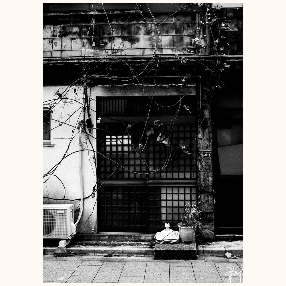 nagatsueeso's tweet photo. 『蔦絡む』
#omdem5 #蔦 #店先 #絡む #閉店 #店舗 #もの寂しい #モノクロ #街 #東京都 #写真好きな人と繋がりたい #聴覚障害者 #OLYMPUS https://t.co/4UkFVfjDLM