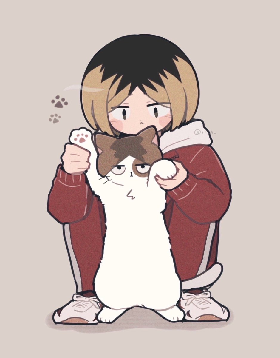 rii_A_'s tweet photo. 🐱🐾 https://t.co/CjirULyUMv