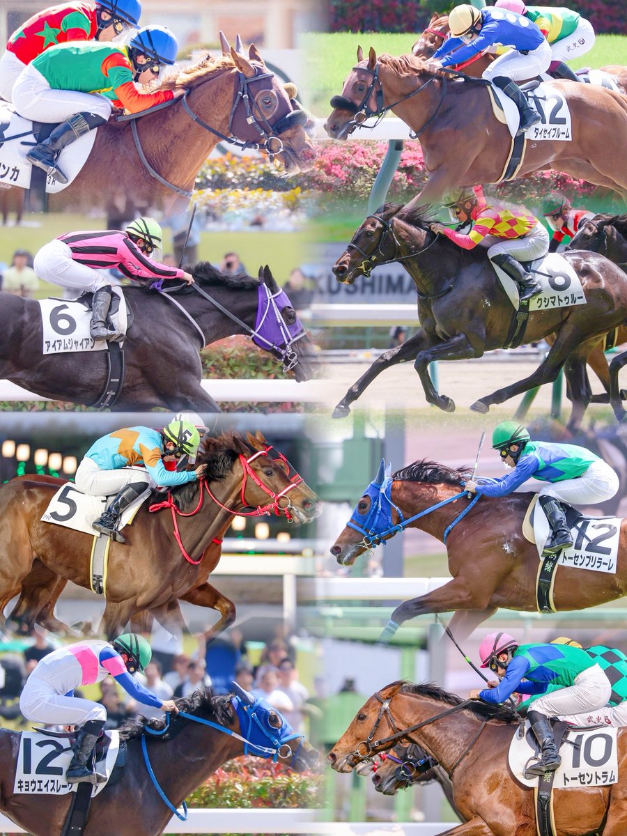 bobbbbbb's tweet photo. - ̗̀ 🤝🏻🥇長浜鴻緒騎手 2026上半期もお疲れ🐴🙌🏻  ̖́-

下半期もたくさん勝てますように。。
できる範囲で追っかけていきます🤩 https://t.co/4vZLtNDdOn