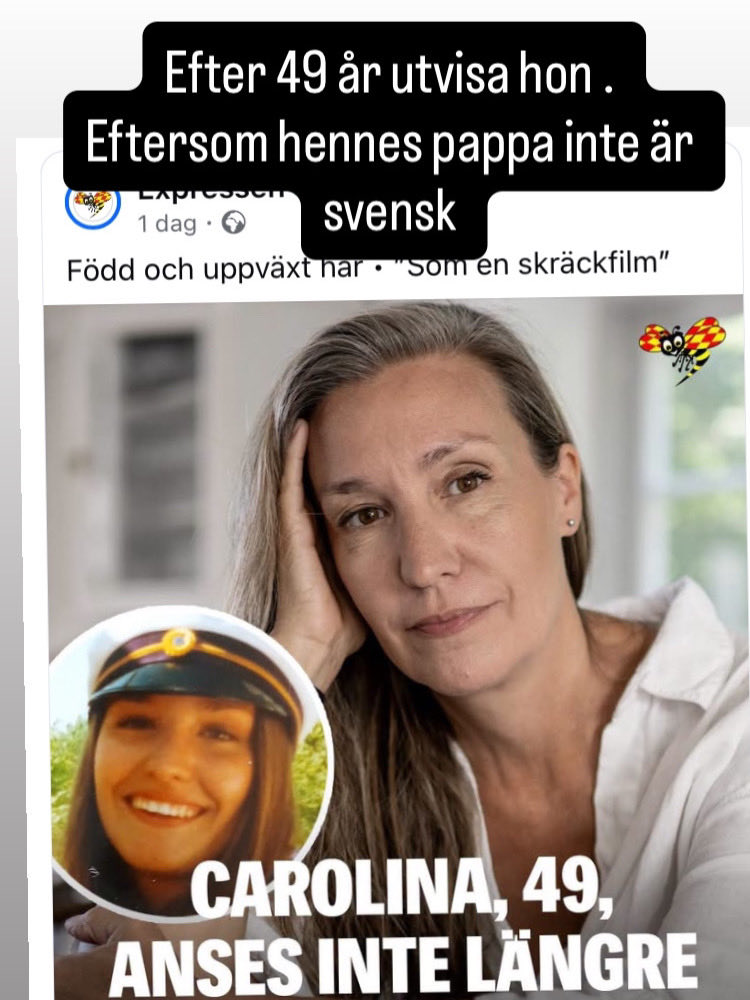 nissemalaren tweet media