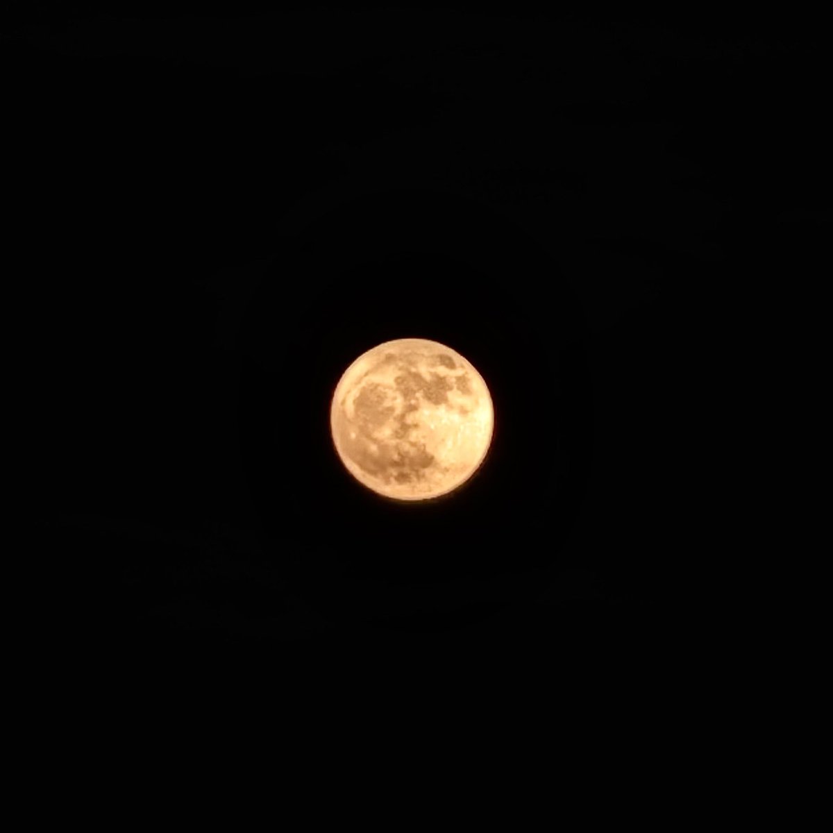 RuSaato's tweet photo. ストロベリームーン🌕
月が昇ってすぐは赤く大きく見える👀
30分もしないうちにいつもよりはオレンジが強いけど普通の満月に戻る！！
不思議〜！！
#ストロベリームーン #満月 https://t.co/VBb04X9fUT