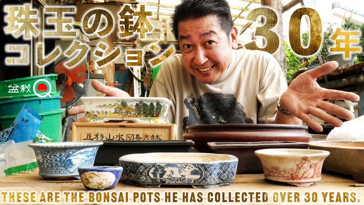 盆栽Q (@bonsaiq_info) / Posts / X