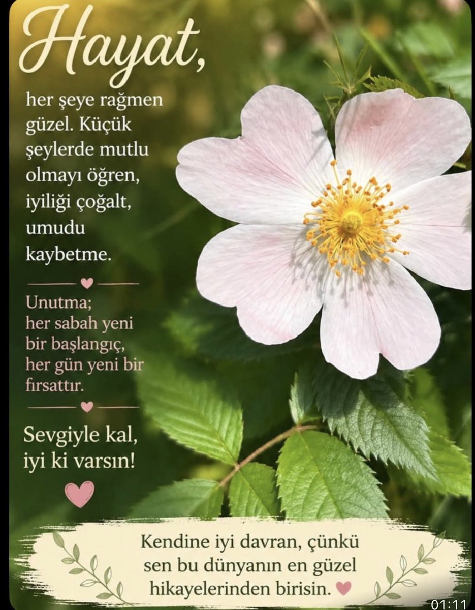 Serpil11883995's tweet photo. GÜNAYDIN-#SALI gününden En güzel dileklerimle -Sağlıklı Huzurlu Mutlu bir gün Olsun ☀️🎶🐾🐈🐕🌺🌷💙🩵♥️🙋♀️#Hepimiz için https://t.co/zOGwneGPbc