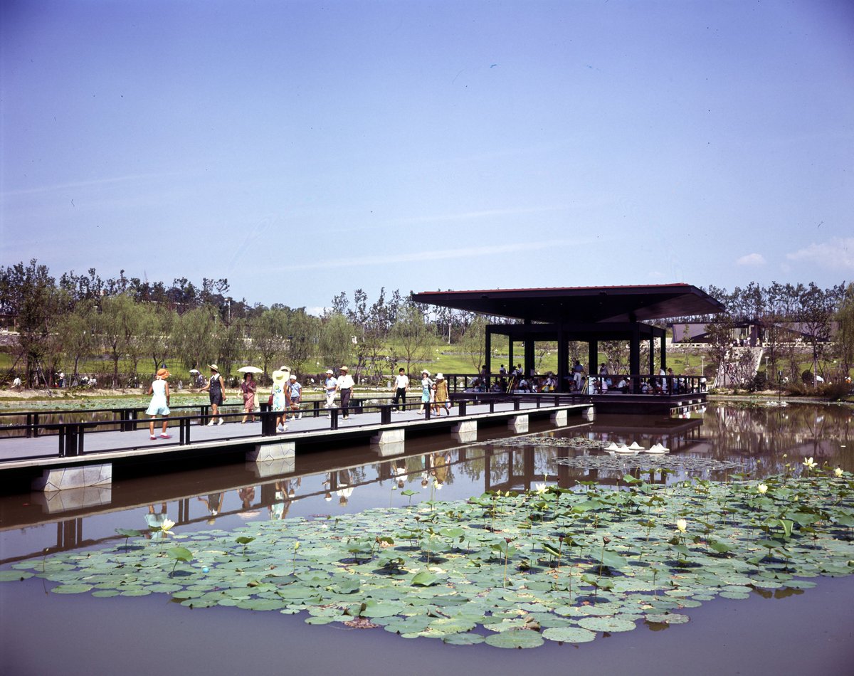 expo70park_jp's tweet photo. ＼1970年 → 2026年🕰️／

大阪万博当時の日本庭園「はす池」と、同じ画角で撮影してみました📸
（左が1970年大阪万博当時、右が現在の風景です）

当時と比べると、今では深い緑に包まれた憩いの場に変化しています🌳✨

時代を超えて今も変わらず心地よい時間と癒しを届けてくれる、人気の場所です🪷

#大阪万博 #EXPO70 #万博記念公園 #日本庭園
