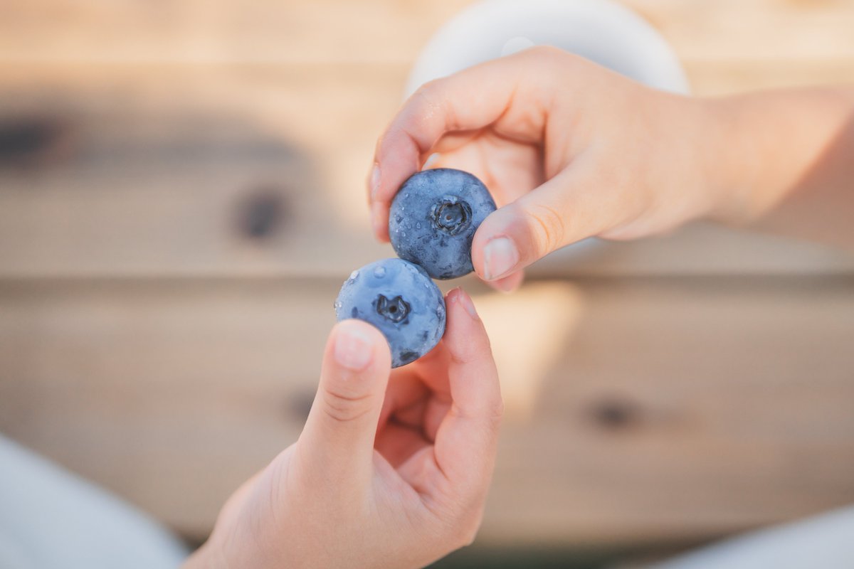 BaseBlueberry's tweet photo. 【テレビ出演のお知らせ】7月3日(金)放送のNHK宇都宮「とちぎ630」内『とちぎグルメ部』のコーナーで当園が紹介されます！大切��育てたブルーベリーの魅力やこだわりをたっぷりお届け。ぜひご覧ください！録画予約もぜひお願いします🌿
#真岡市 #とちぎ630 #NHK宇都宮
https://t.co/IuO4oqrCfo https://t.co/nHnrKaUrRP